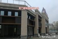 天门碧桂园售楼处1