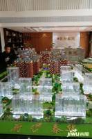 华泰学府春天实景图9