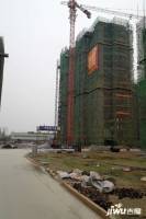 华泰学府春天实景图9