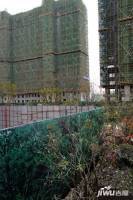 华鸿公园天下实景图13
